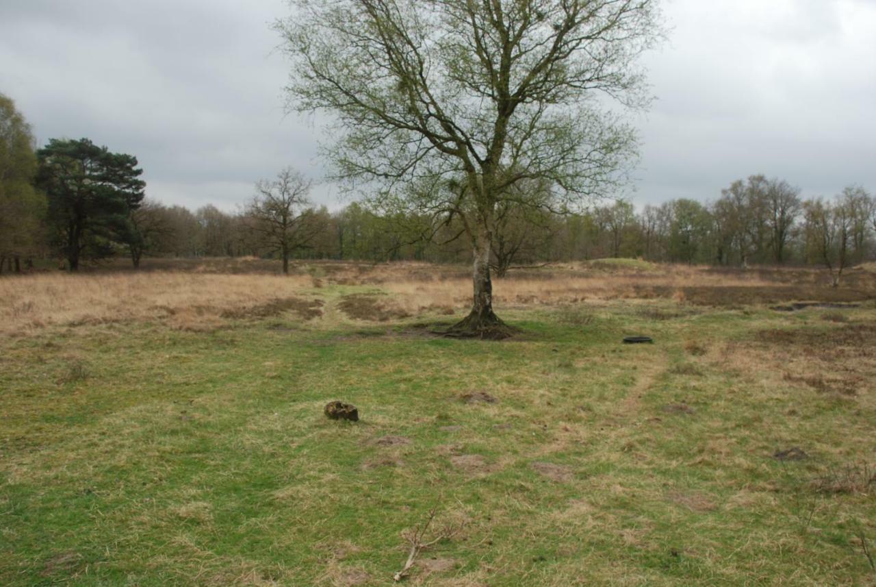 Assen-Groningen-Saunacabine Vries Εξωτερικό φωτογραφία